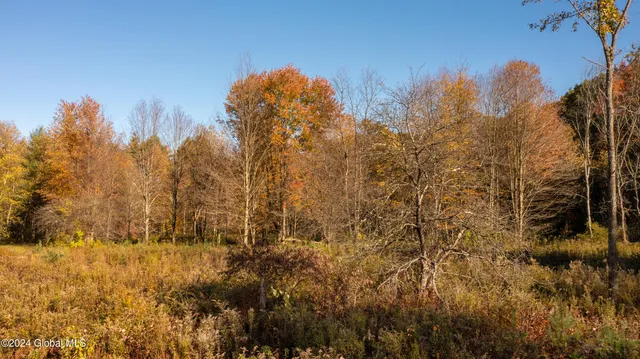 $190,000 | L122 Dimmick Road, Wilton, NY 12831