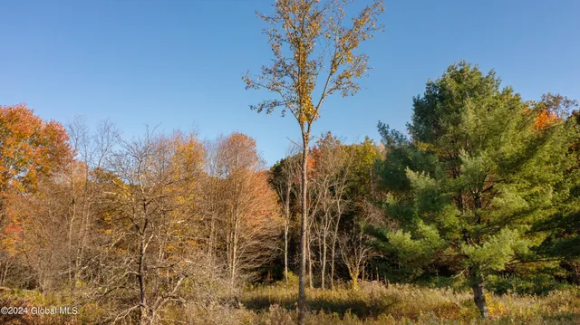 $190,000 | L122 Dimmick Road, Wilton, NY 12831