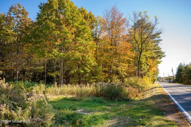 $190,000 | L122 Dimmick Road, Wilton, NY 12831