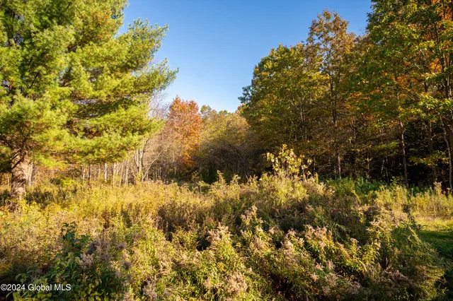 $190,000 | L122 Dimmick Road, Wilton, NY 12831