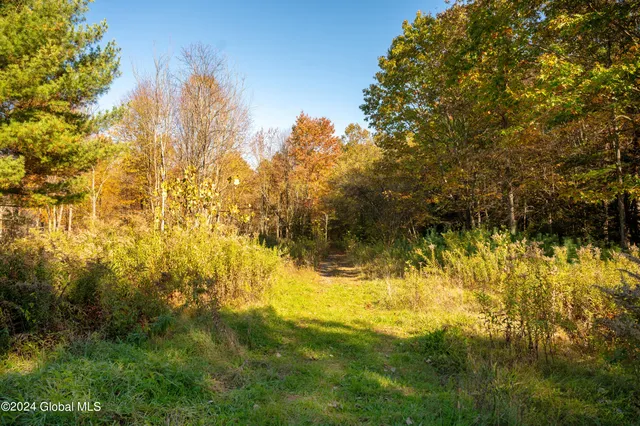 $190,000 | L122 Dimmick Road, Wilton, NY 12831