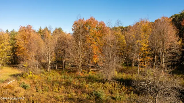 $190,000 | L122 Dimmick Road, Wilton, NY 12831