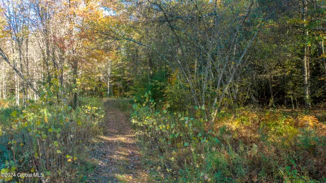 $190,000 | L122 Dimmick Road, Wilton, NY 12831