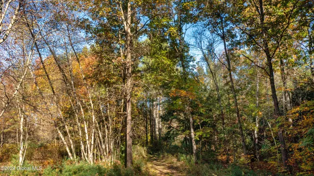 $190,000 | L122 Dimmick Road, Wilton, NY 12831