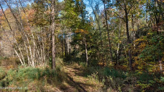 $190,000 | L122 Dimmick Road, Wilton, NY 12831