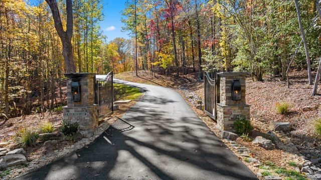 a view of a yard with trees