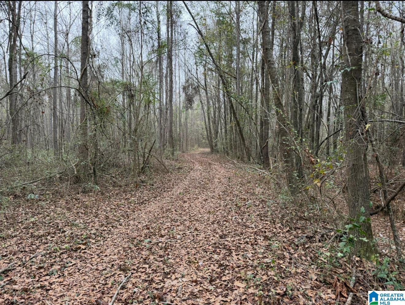 32 North County Road, Unit 1 Deatsville, AL 36022 - Photo 5 of 10