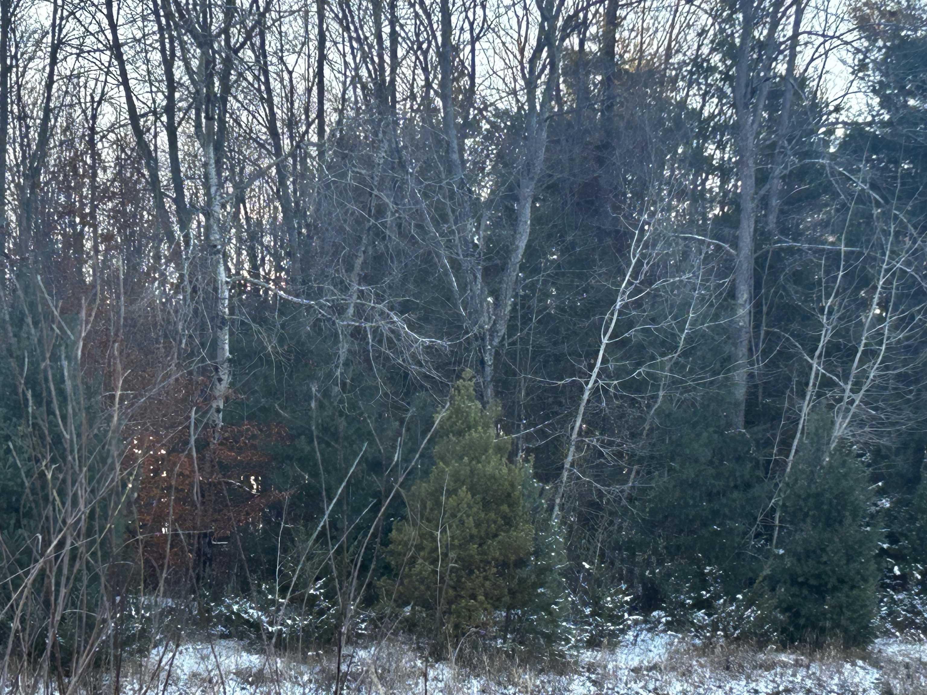 1 East Johnson Road Lake City, MI 49651 - Photo 1 of 6 Gallery Image 1
