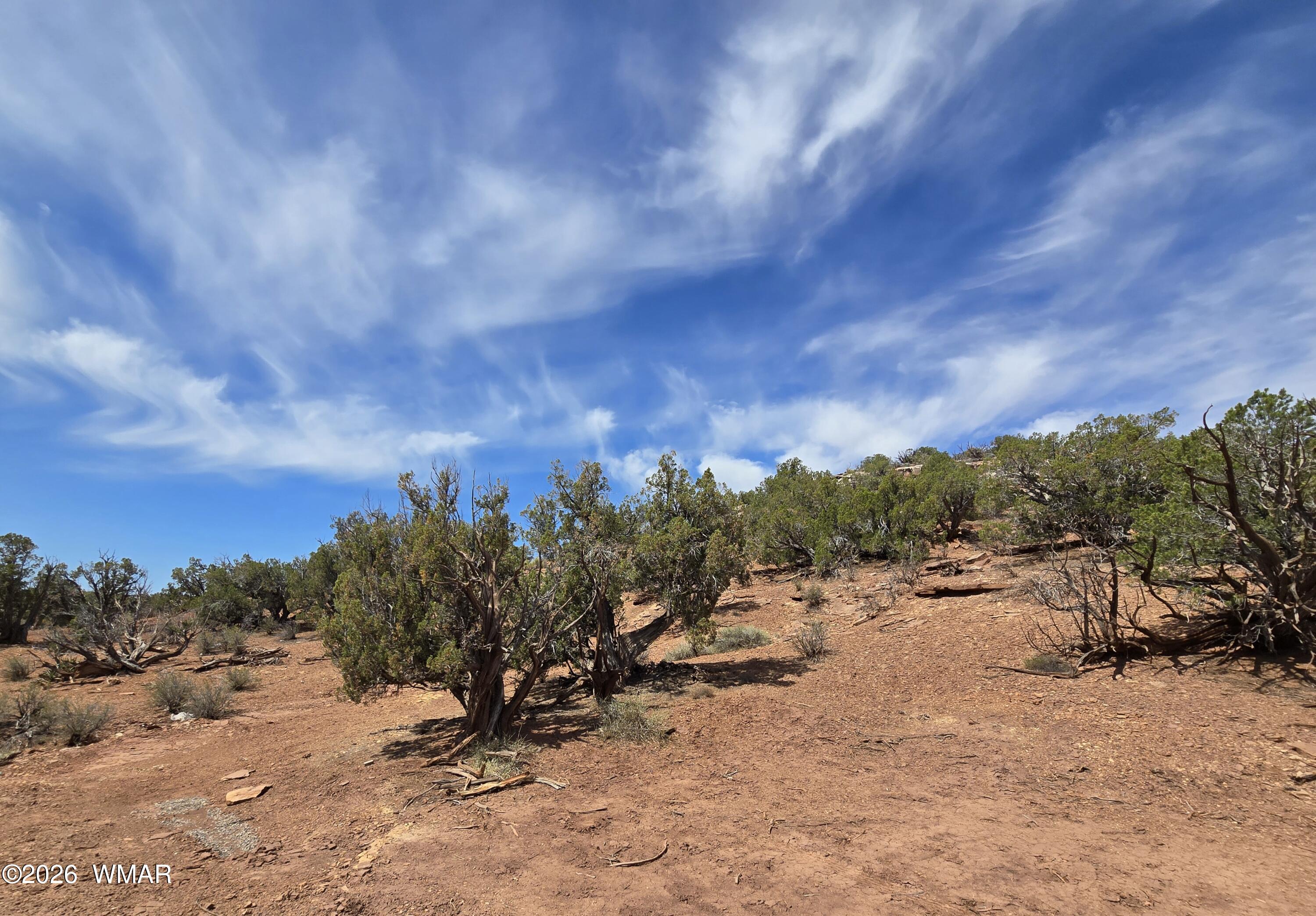 9255 Tonto Road Snowflake, AZ 85937 - Photo 1 of 9