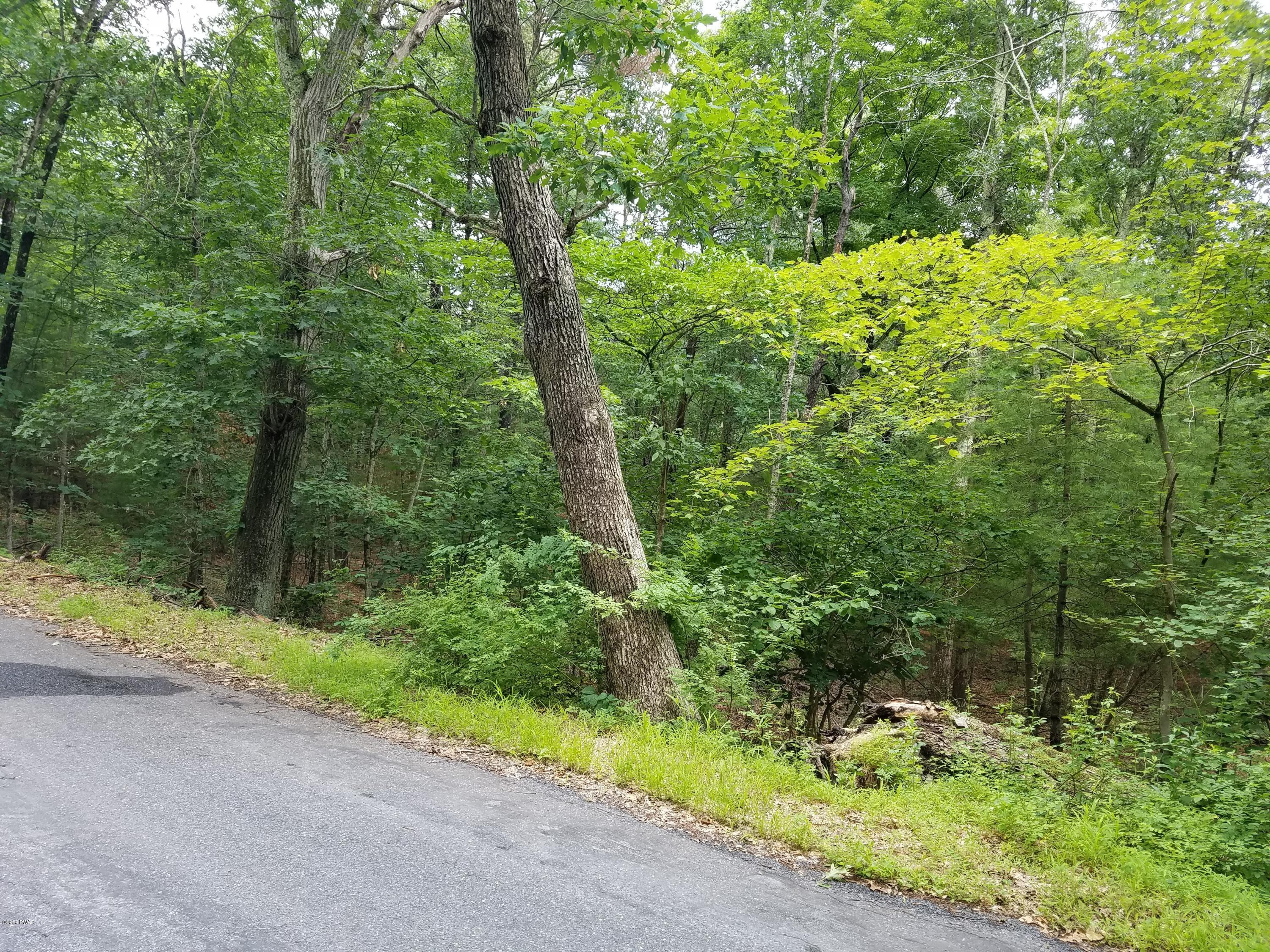 Lot 3 Sproul Road Dingmans Ferry, PA 18328 - Photo 6 of 8
