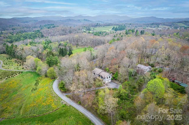 an aerial view of a residential houses with outdoor space and trees