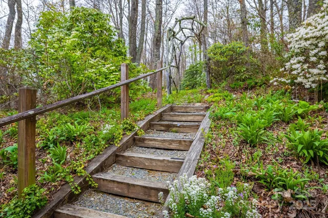 a view of a garden with plants
