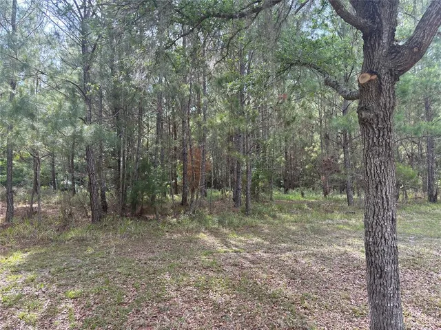 $274,900 | 8845 Northwest 58th Lane, Gainesville, FL 32606