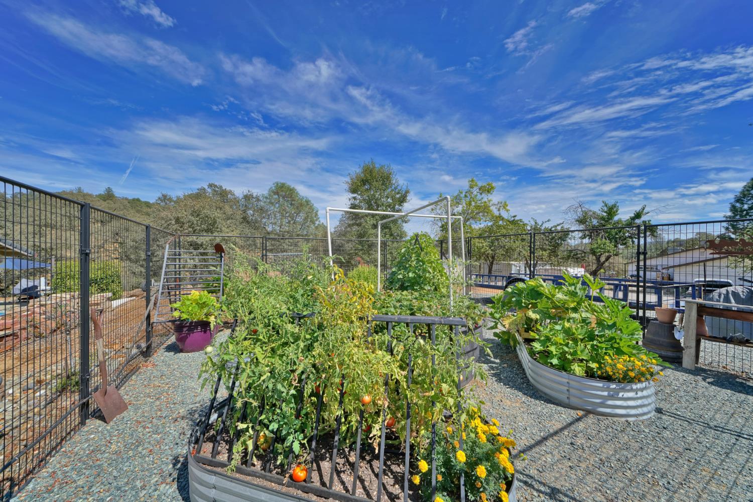 4581 Studebaker Road Placerville, CA 95667 - Photo 50 of 66 Gallery Image 50