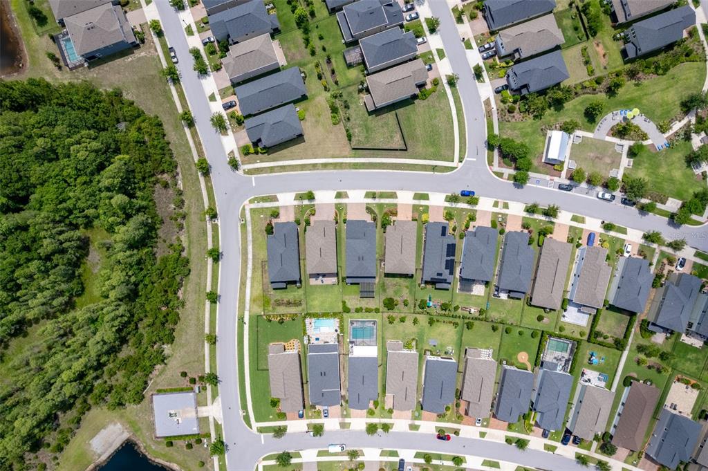 4345 Cadence Loop Land O Lakes, FL 34638 - Photo 36 of 52