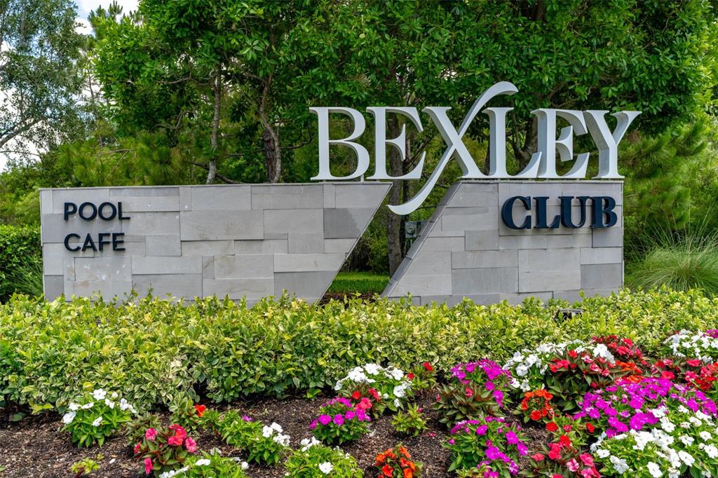 4345 Cadence Loop Land O Lakes, FL 34638 - Photo 37 of 52