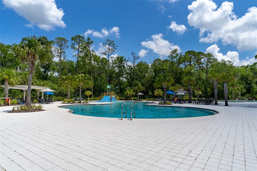 4345 Cadence Loop Land O Lakes, FL 34638 - Photo 41 of 52