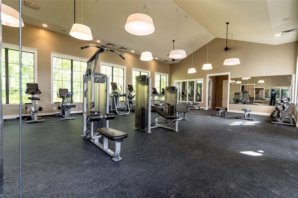 4345 Cadence Loop Land O Lakes, FL 34638 - Photo 45 of 52