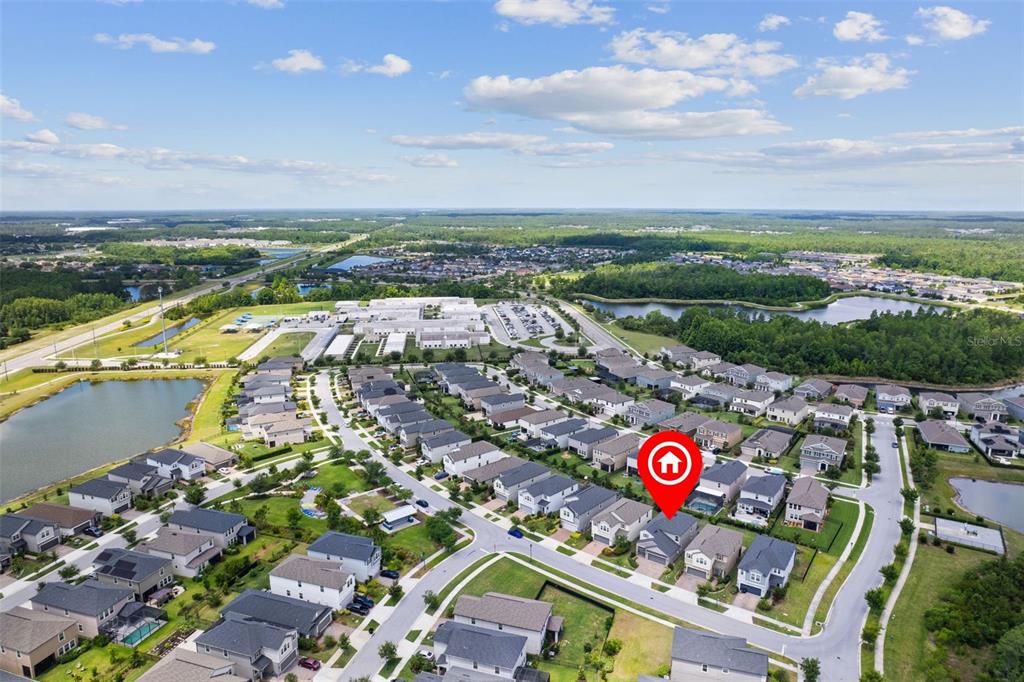 4345 Cadence Loop Land O Lakes, FL 34638 - Photo 50 of 52