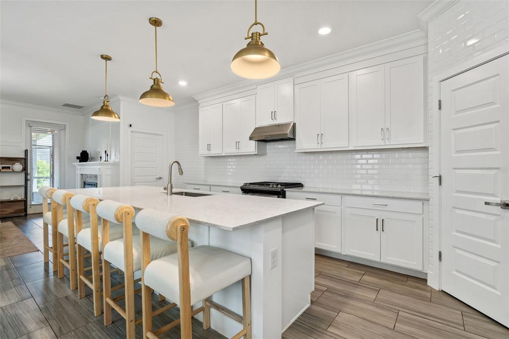 4345 Cadence Loop Land O Lakes, FL 34638 - Photo 10 of 52