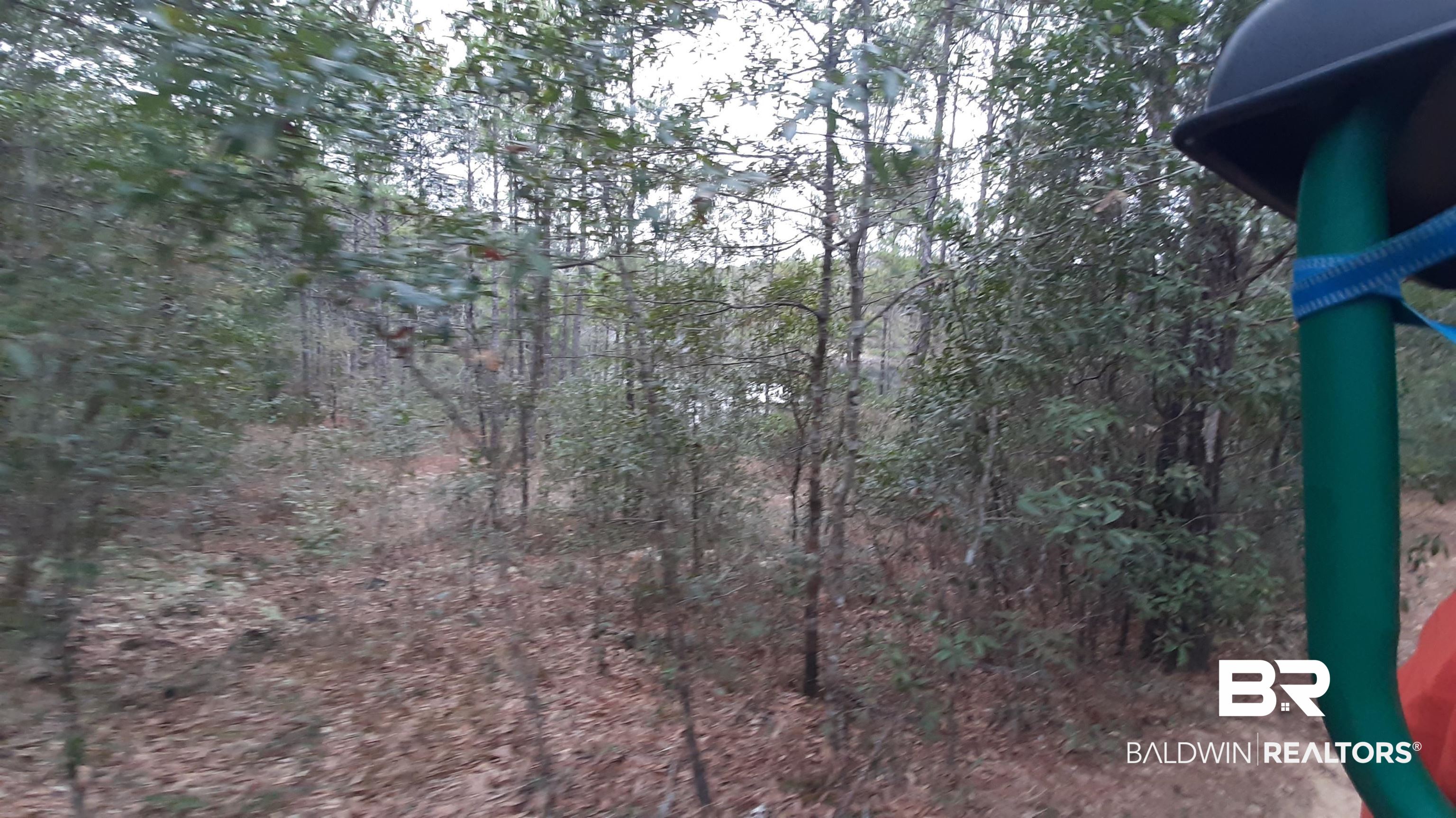 11375 Spring Lake Road Chunchula, AL 36521 - Photo 13 of 26