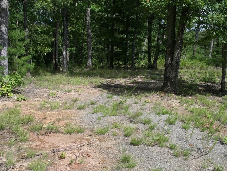 Lot 25 Silver Ridge Rd Mill Spring Mill Spring, NC 28756 - Photo 8 of 12