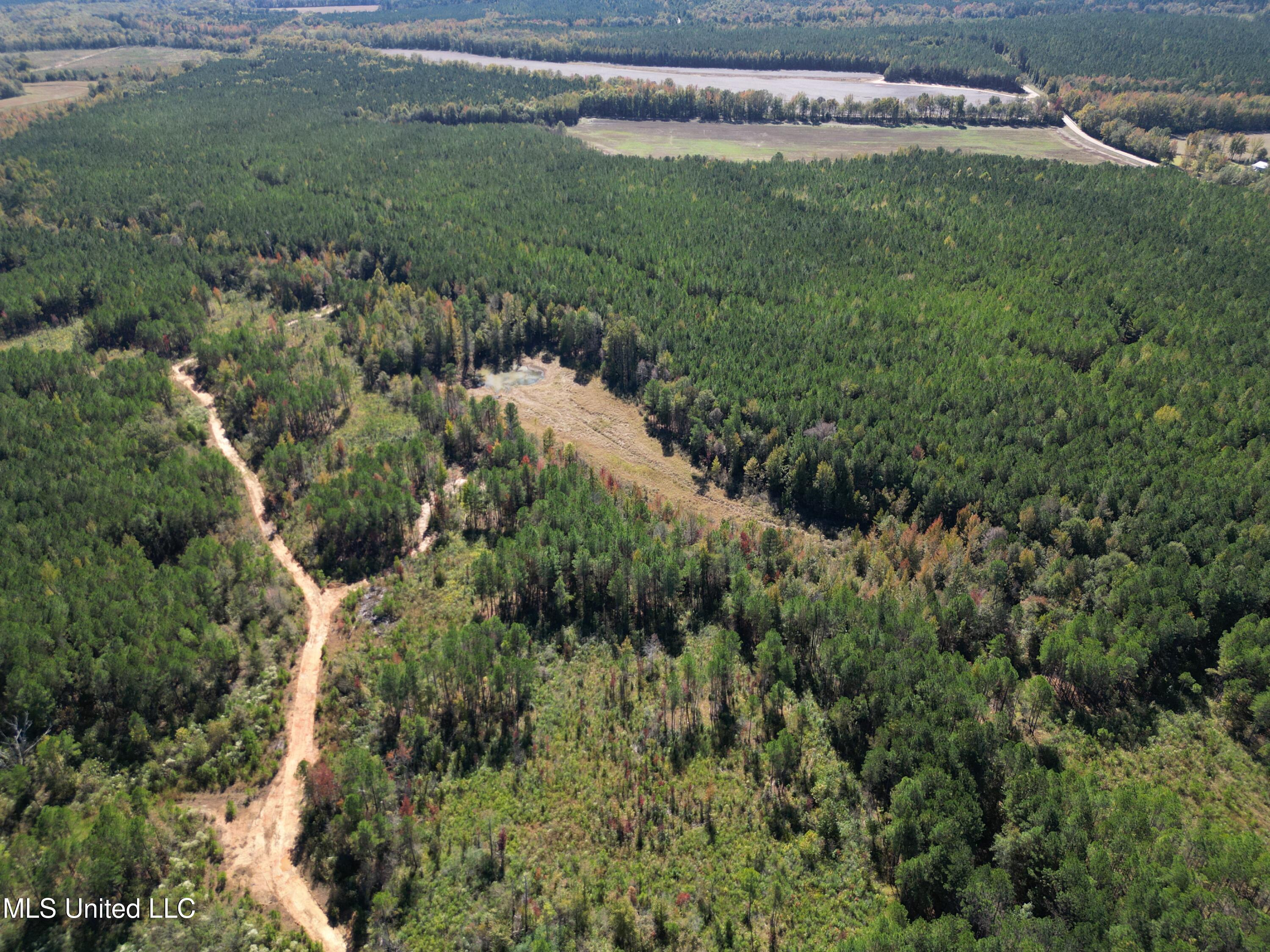 Minerva Road Kilmichael, MS 39747 - Photo 11 of 47 dji_fly_20251021_211600_69_1761160099095
