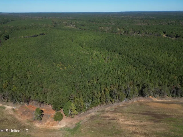 $560,000 | Minerva Road, Kilmichael, MS 39747