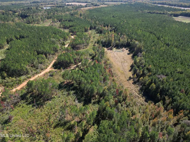 $560,000 | Minerva Road, Kilmichael, MS 39747