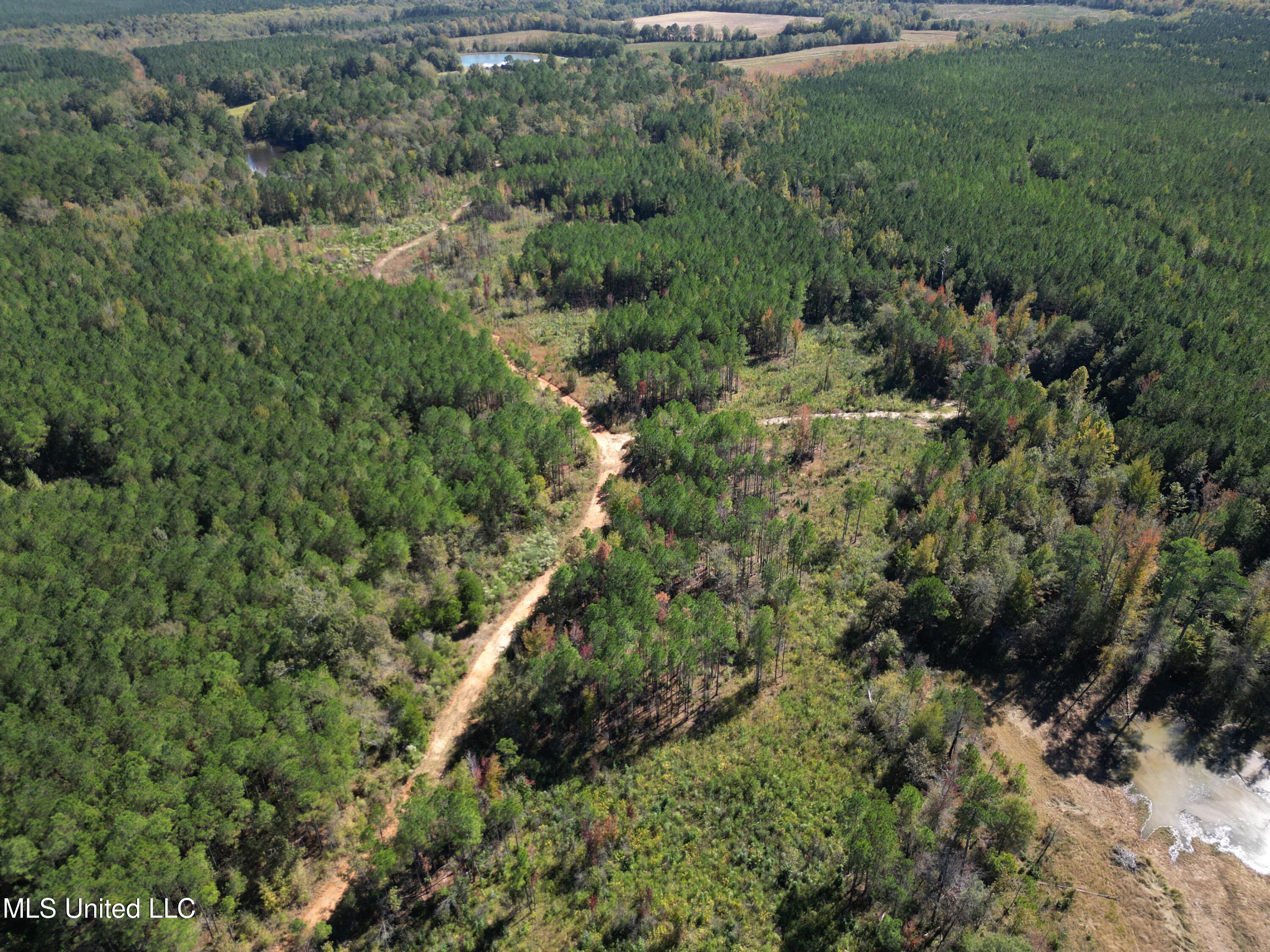 Minerva Road Kilmichael, MS 39747 - Photo 14 of 47 dji_fly_20251021_211628_71_1761160098500