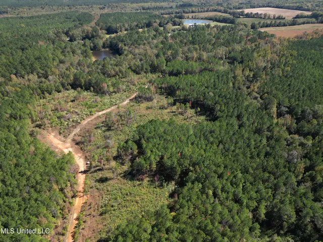 $560,000 | Minerva Road, Kilmichael, MS 39747