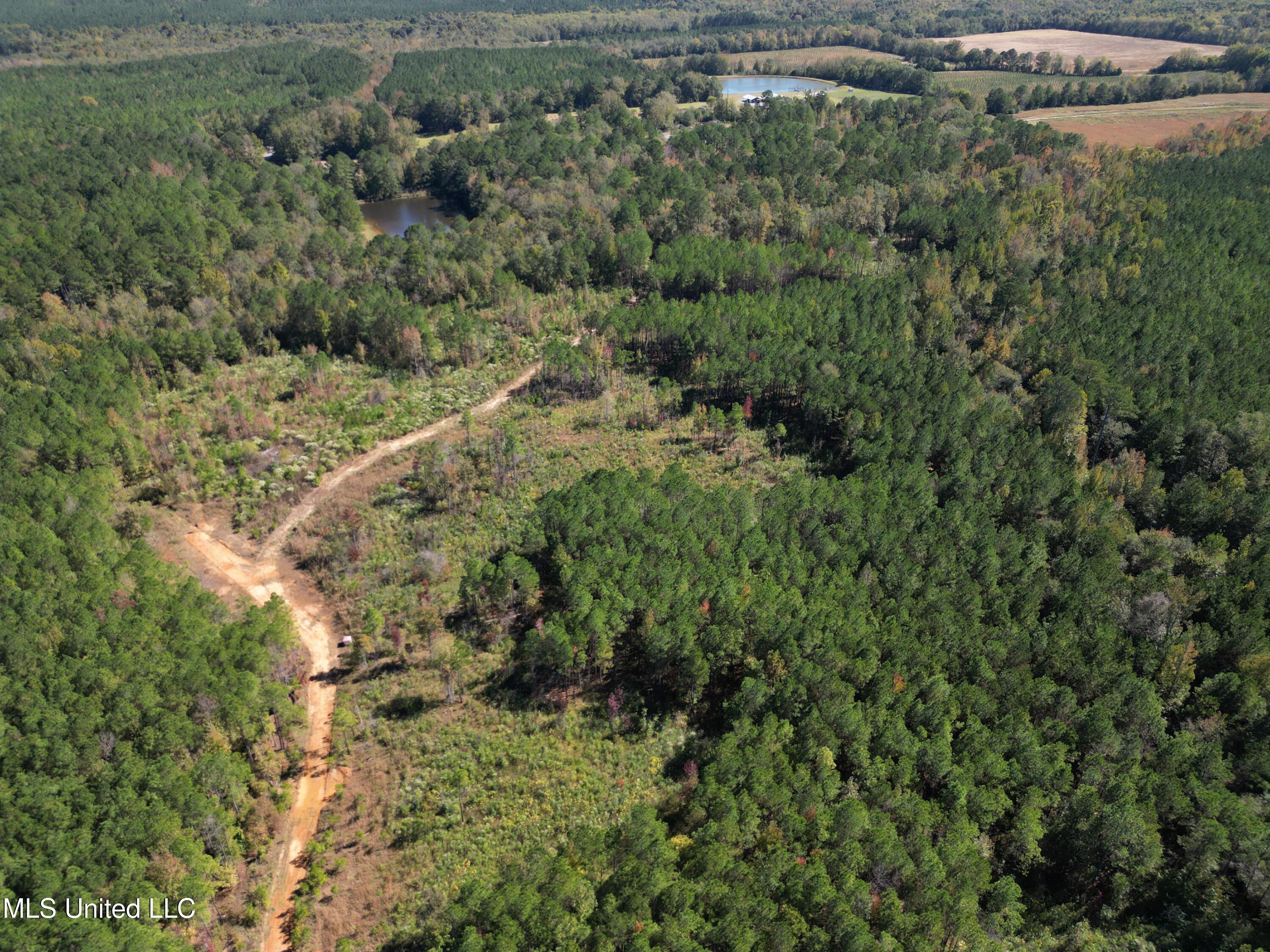 Minerva Road Kilmichael, MS 39747 - Photo 15 of 47 dji_fly_20251021_211646_72_1761160098171
