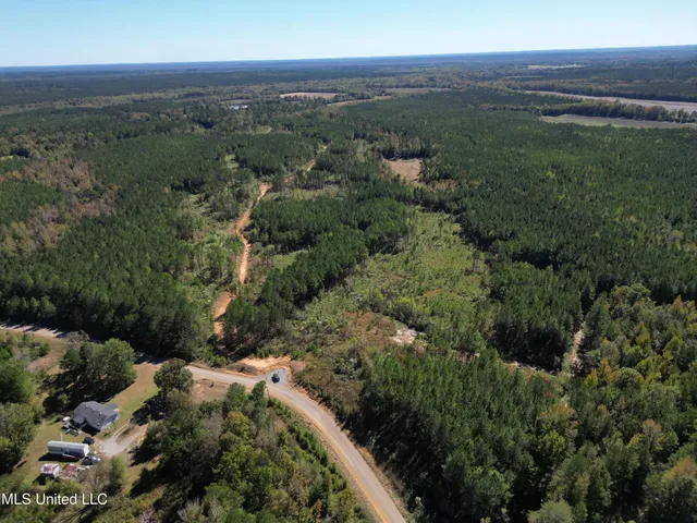 $560,000 | Minerva Road, Kilmichael, MS 39747