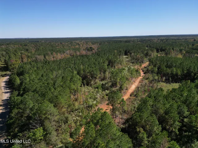 $560,000 | Minerva Road, Kilmichael, MS 39747