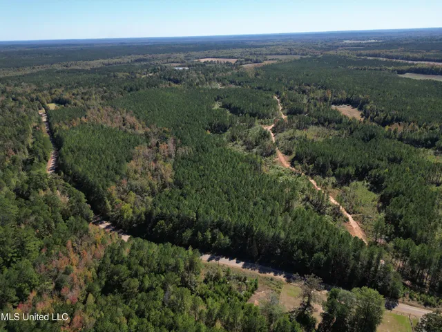 $560,000 | Minerva Road, Kilmichael, MS 39747