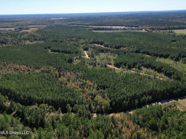 $560,000 | Minerva Road, Kilmichael, MS 39747