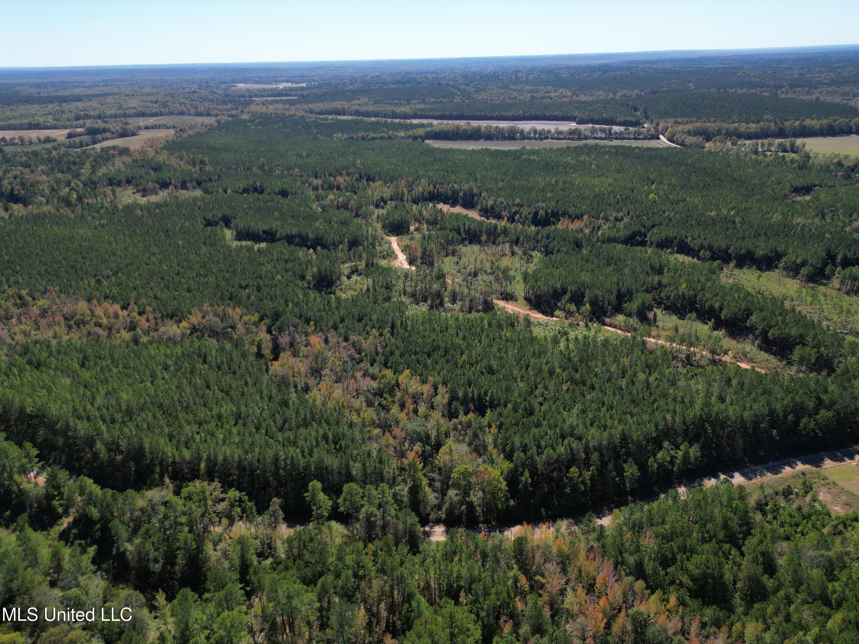 Minerva Road Kilmichael, MS 39747 - Photo 19 of 47 dji_fly_20251021_211514_66_1761160099970