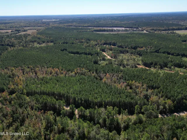 $560,000 | Minerva Road, Kilmichael, MS 39747