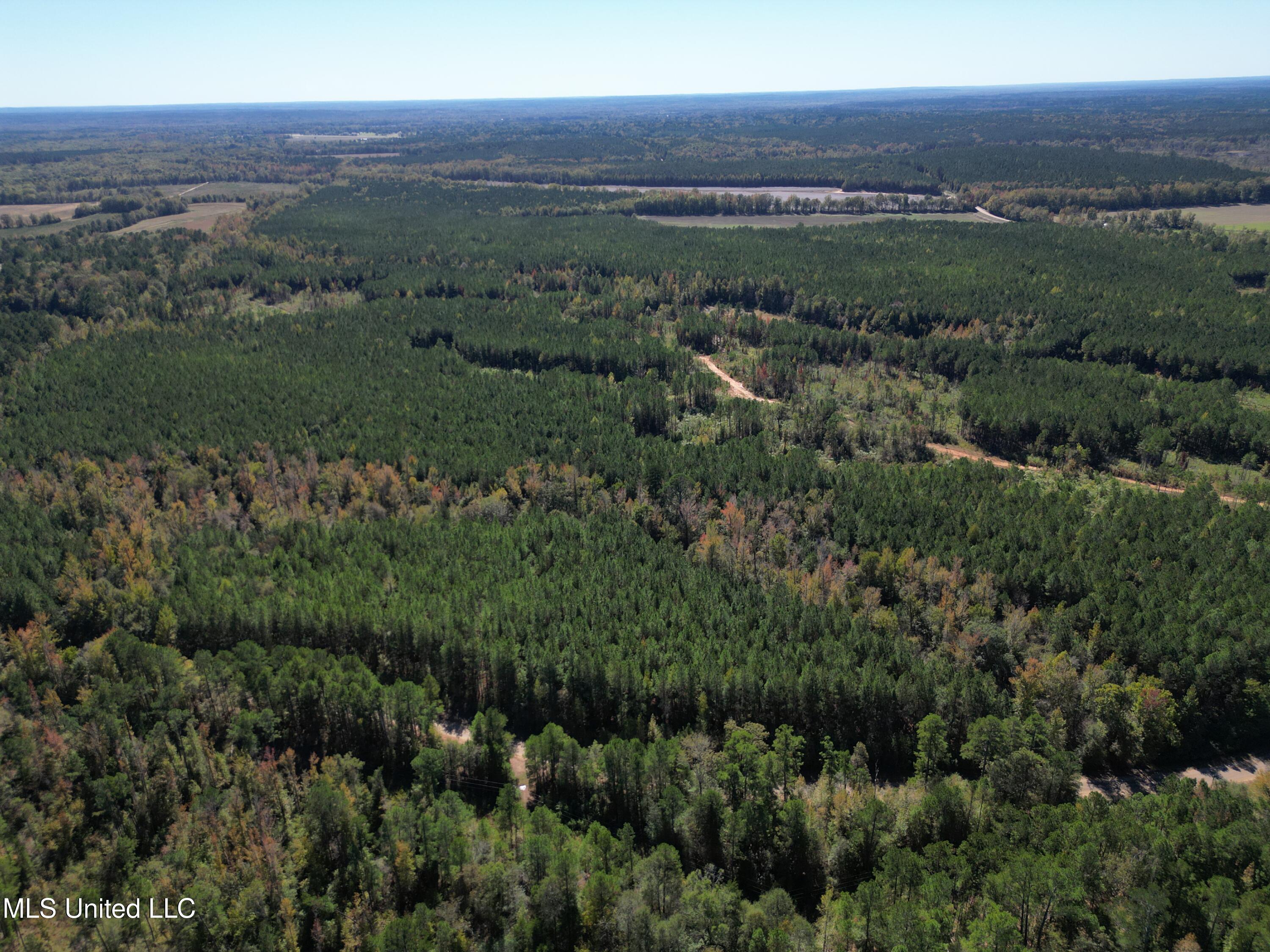 Minerva Road Kilmichael, MS 39747 - Photo 20 of 47 dji_fly_20251021_211526_67_1761160099605