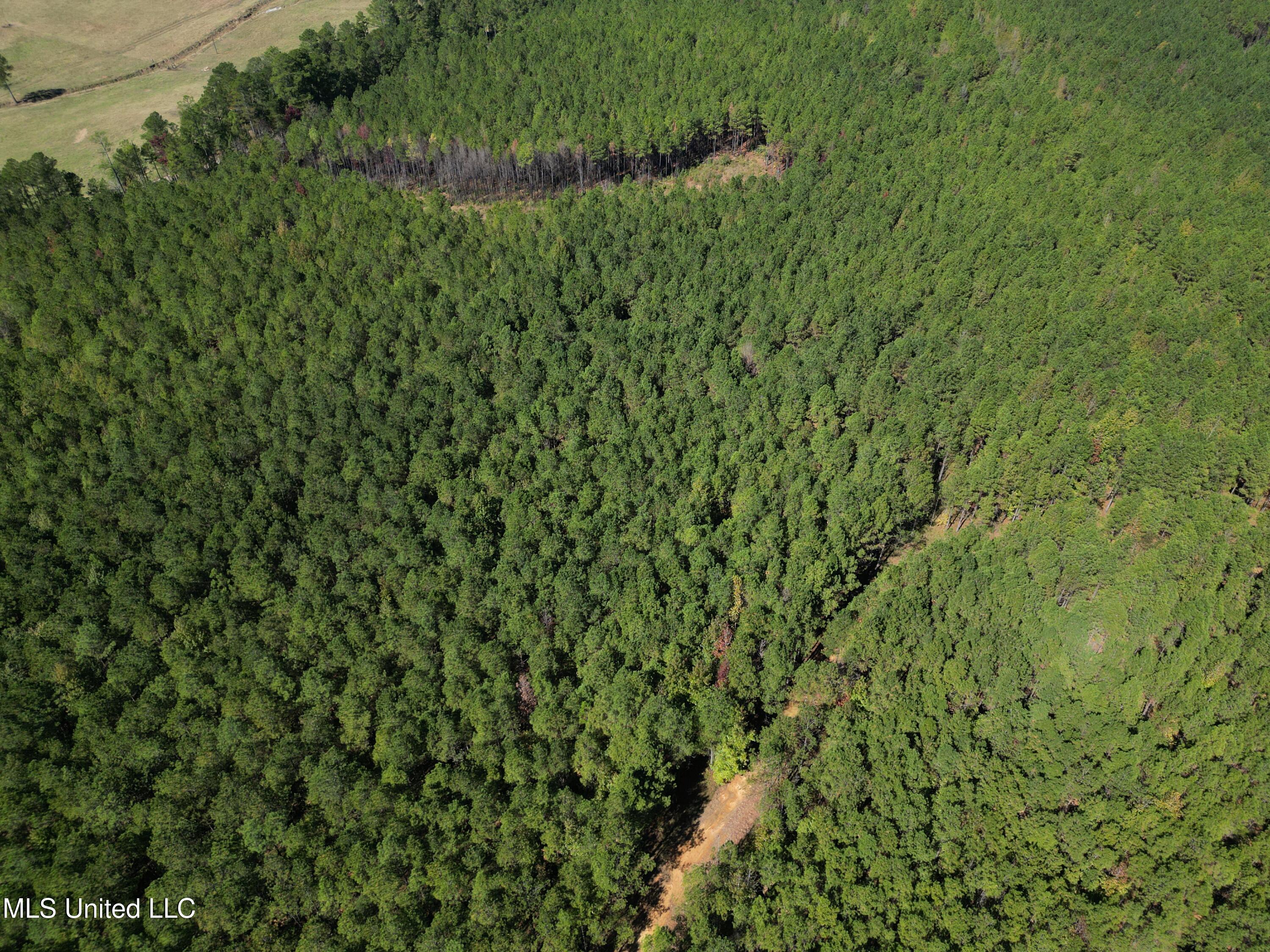 Minerva Road Kilmichael, MS 39747 - Photo 21 of 47 dji_fly_20251021_210632_54_1761160105351