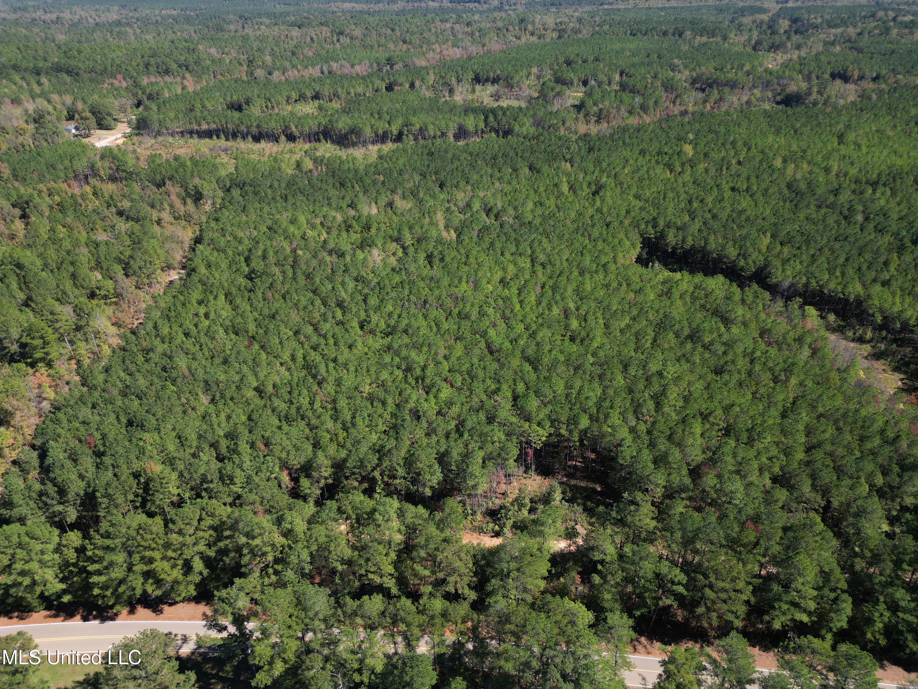 Minerva Road Kilmichael, MS 39747 - Photo 23 of 47 dji_fly_20251021_210754_57_1761160103132