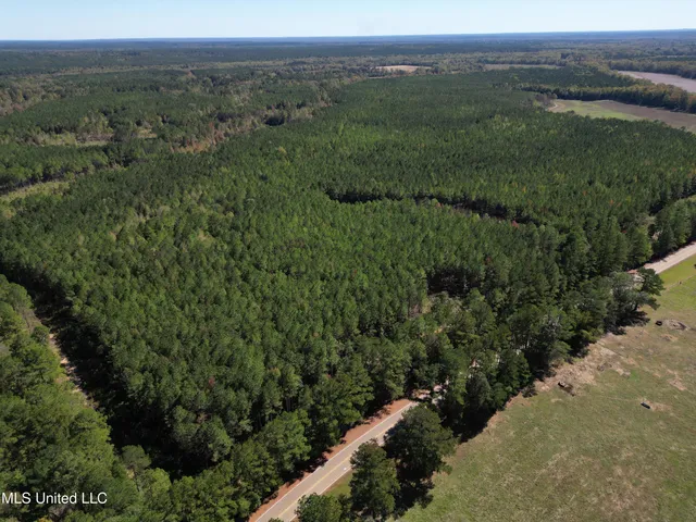 $560,000 | Minerva Road, Kilmichael, MS 39747