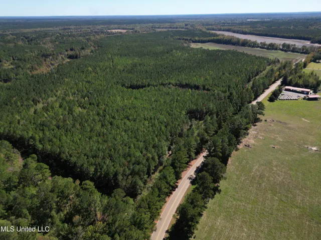$560,000 | Minerva Road, Kilmichael, MS 39747