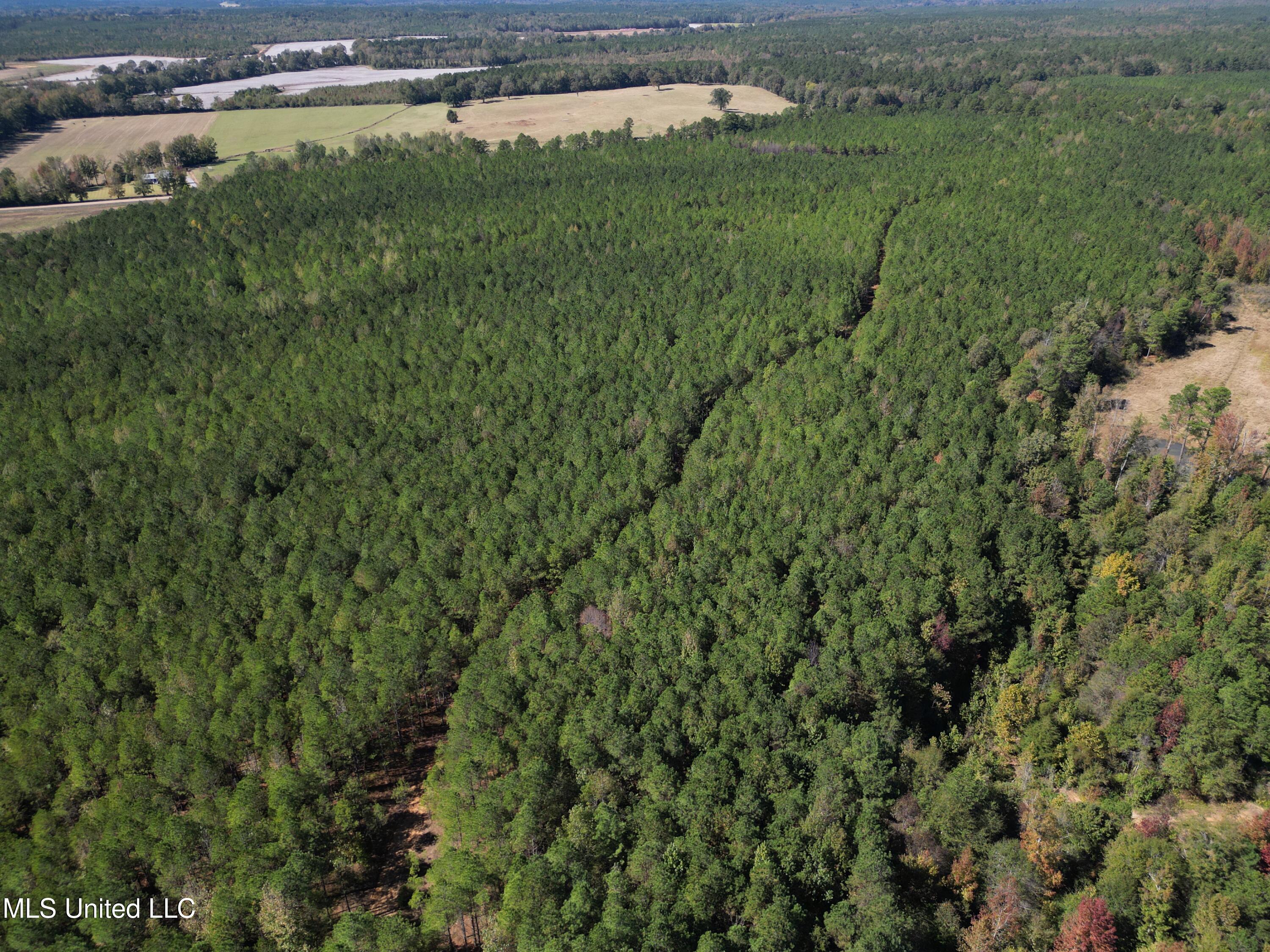 Minerva Road Kilmichael, MS 39747 - Photo 26 of 47 dji_fly_20251021_210526_49_1761160110151