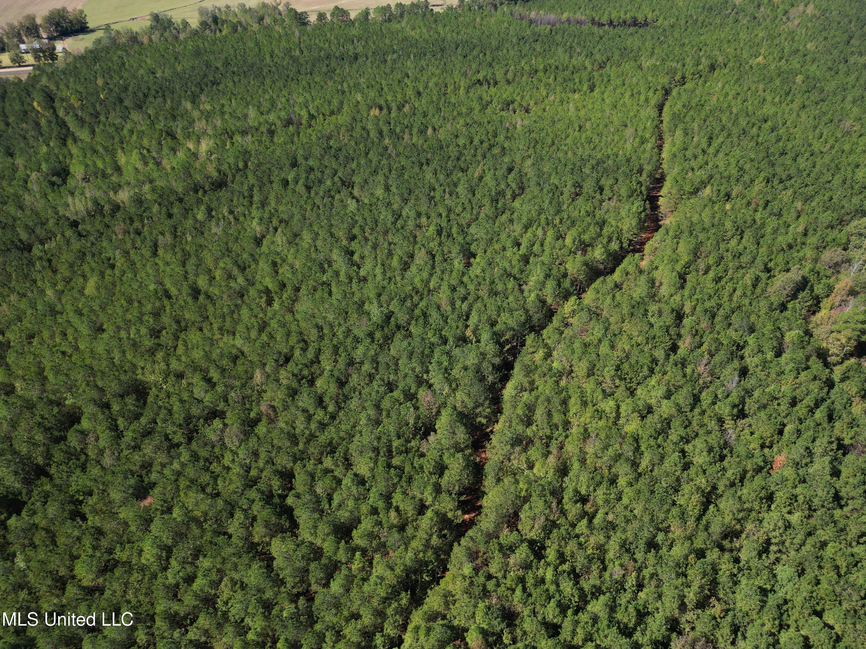 Minerva Road Kilmichael, MS 39747 - Photo 27 of 47 dji_fly_20251021_210542_50_1761160109535