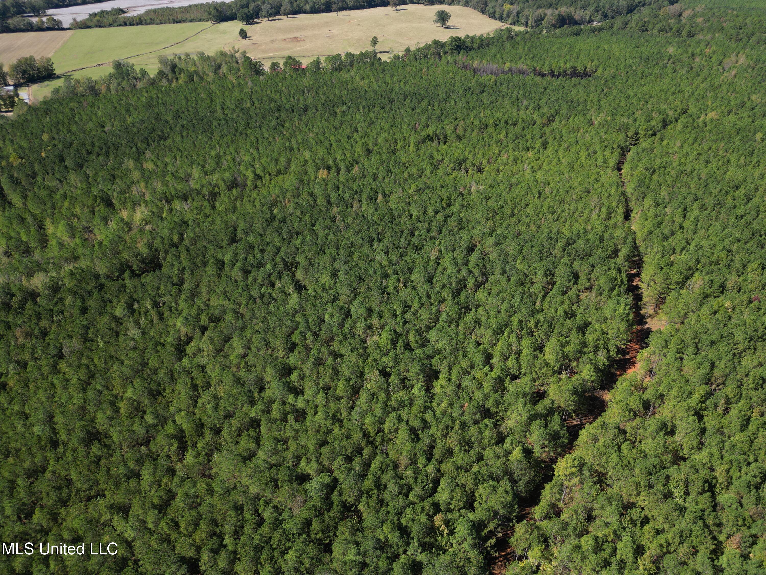 Minerva Road Kilmichael, MS 39747 - Photo 28 of 47 dji_fly_20251021_210552_51_1761160109166