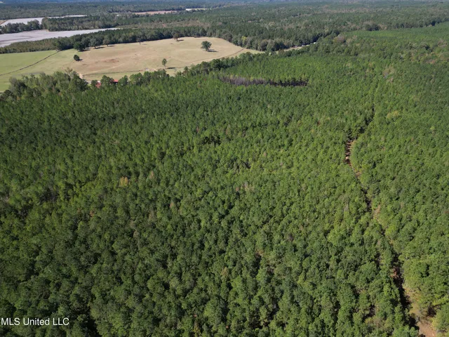 $560,000 | Minerva Road, Kilmichael, MS 39747