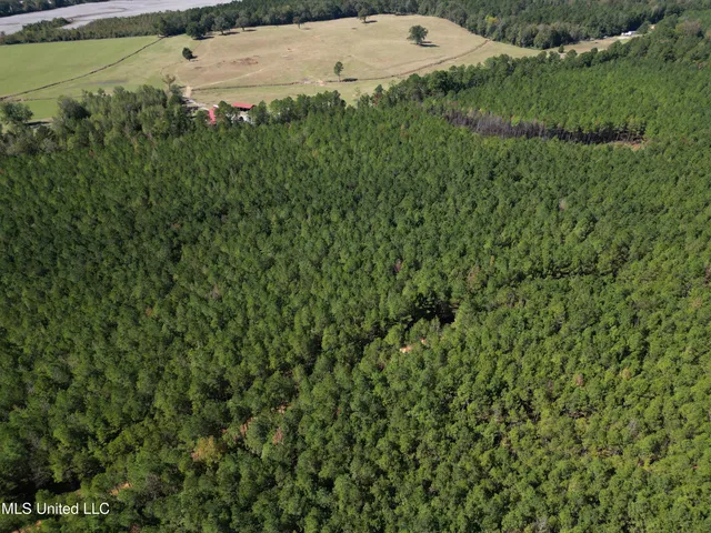 $560,000 | Minerva Road, Kilmichael, MS 39747