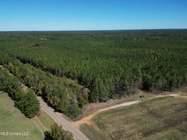 $560,000 | Minerva Road, Kilmichael, MS 39747