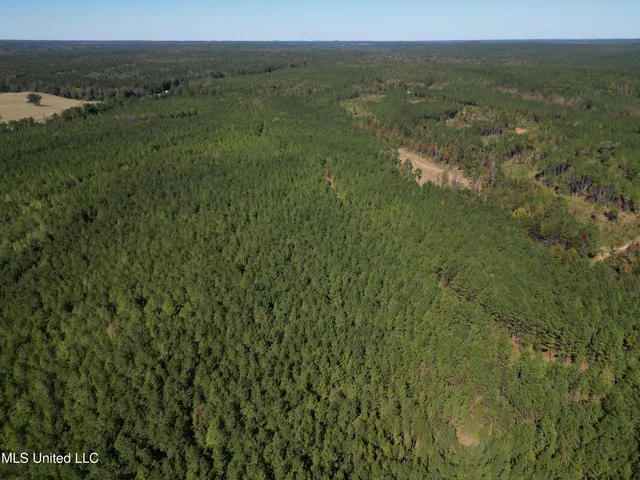 $560,000 | Minerva Road, Kilmichael, MS 39747